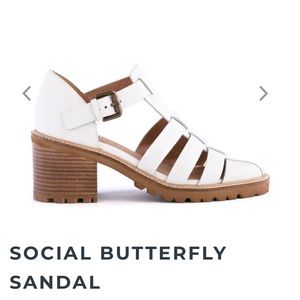 NWOB Seychelles Social Butterfly fisherman sandal size 8